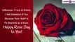 Happy Rose Day 2023 Greetings, Lovely Messages, Quotes About Love and Rose HD Images To Share