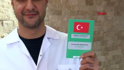 Çip taktırmayanlara ilk cezalar uygulandı