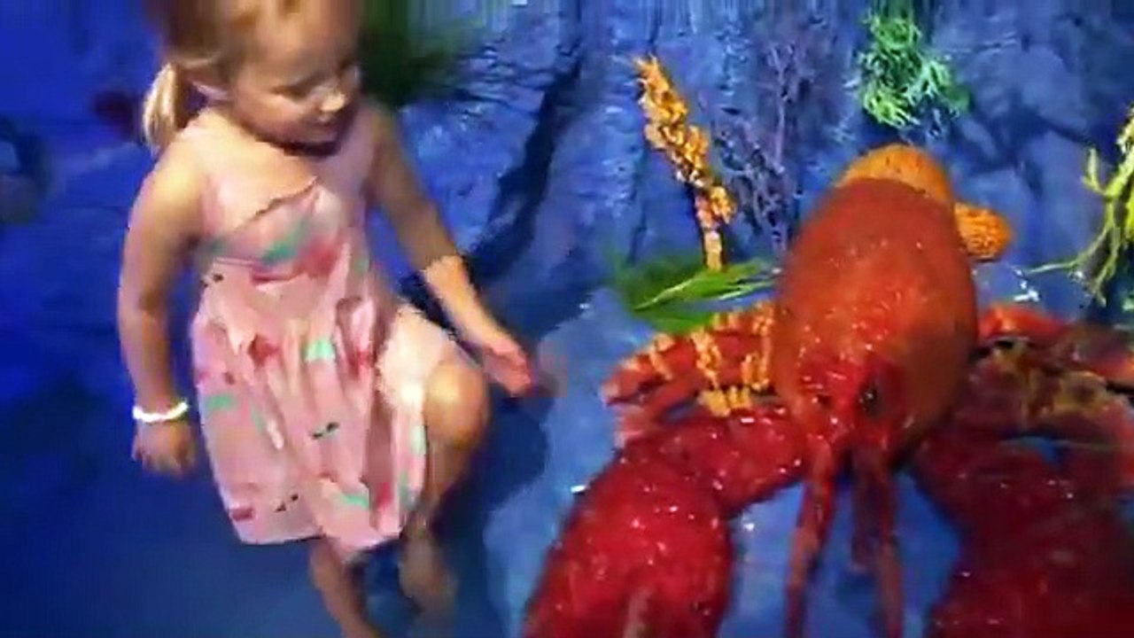Outdaughtered - se6 - ep04 - quint tested, parent approved hd watch