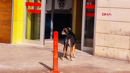 Hastane kapısından ayrılmadı! Duygulandıran vefa