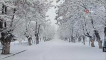 Tatvan'da lapa lapa yağan kar seyri güzel görüntüler oluşturdu