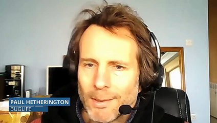 Paul Hetherington from Buglife says the results of their Bugs Matter survey are very concerning