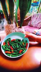 Sambal Belacan Padu, 4 Bahan 10 Minit Siap