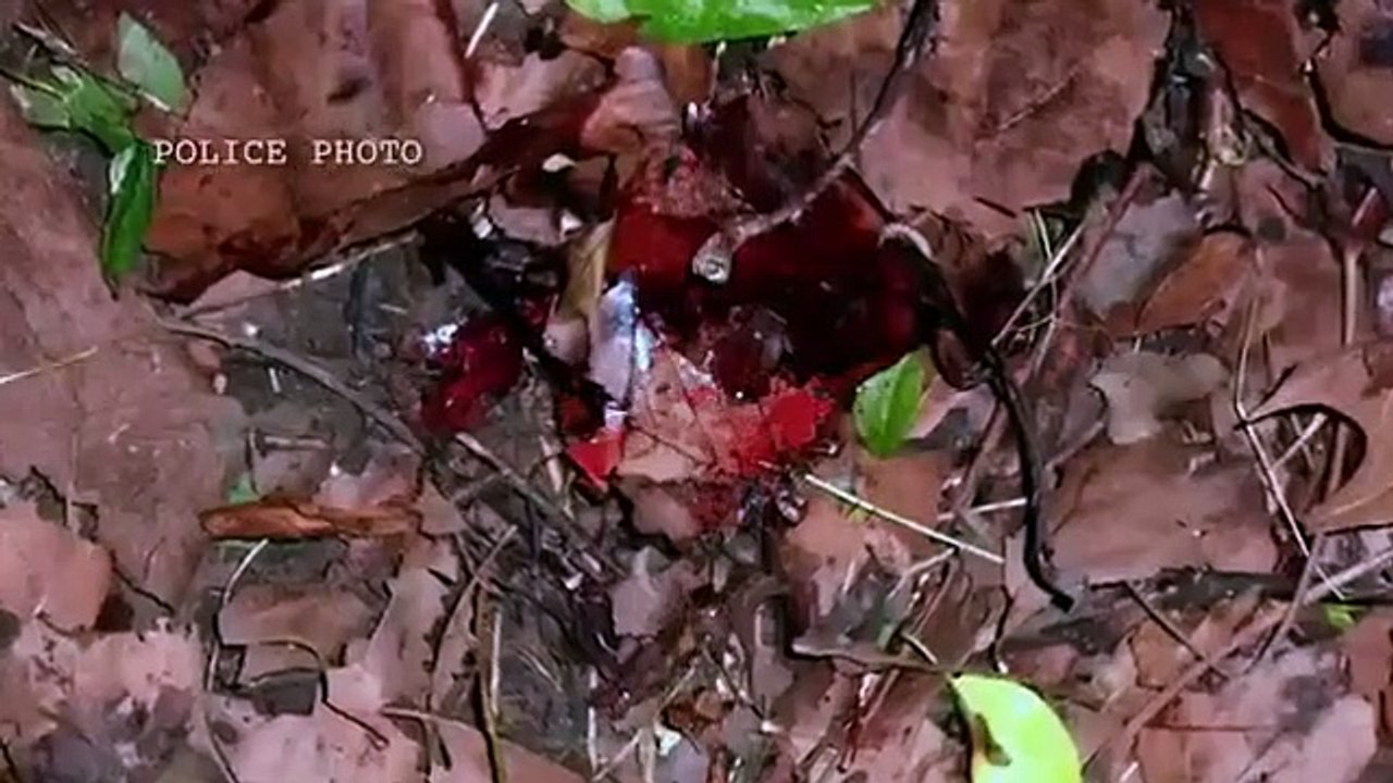 Mur-'der Comes To Town - Se5 - Ep10 - The Last Face She Saw HD Watch