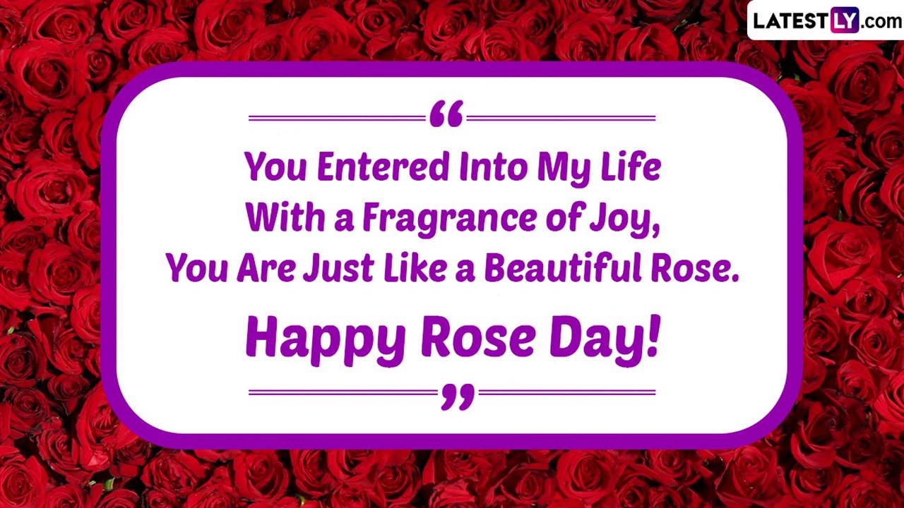 Rose Day 2023 Quotes and Sayings About Love, Beautiful Rose Images ...