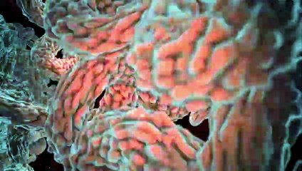 L'immunothérapie, une autre arme contre le cancer