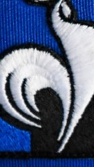 ces animaux qui servent d'emblème à une équipe nationale de rugby - vertical