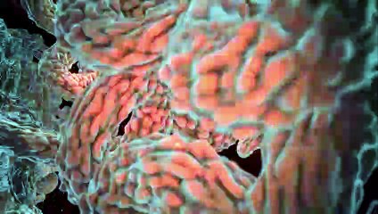 Immunotherapy, another weapon against cancer