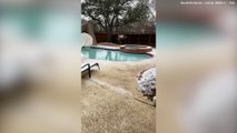 Winter storm batters Texas leaving one homeowner reeling after driver smashes into their backyard
