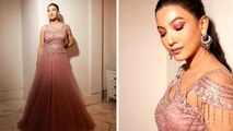 Gauahar Khan Pink Shimmer Gown में Baby Bump Flaunt करते दिखा Pregnancy Glow, Watch Video | Boldsky