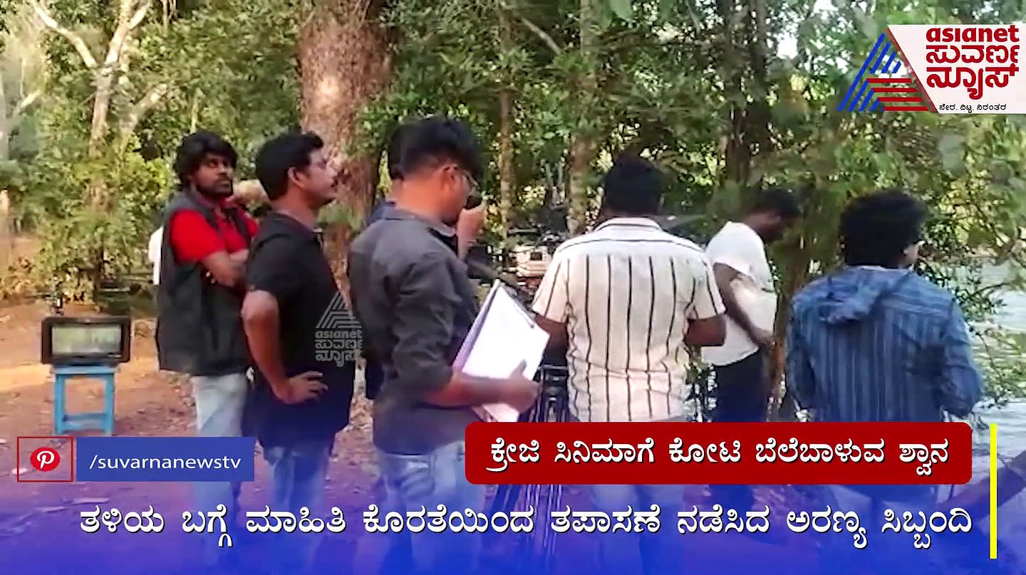 ರವಿಚಂದ್ರನ್ ಸಿನಿಮಾದಲ್ಲಿ ಕೋಟಿ ಬೆಲೆಯ ಟಿಬೆಟಿಯನ್ ಮ್ಯಾಸ್ಟಿಫ್; 15 ದಿನ ಉಳಿದುಕೊಳ್ಳಲು ದಾಂಡೇಲಿಯಲ್ಲಿ ಐಷಾರಾಮಿ ರೂಮ್