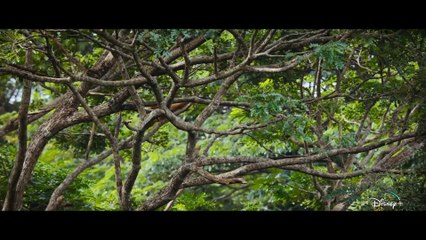 Les Pouvoirs Extraordinaires de la Nature