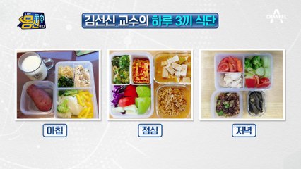 접시의 크기는 중요하지 않다! 하버드 한끼 건강식★