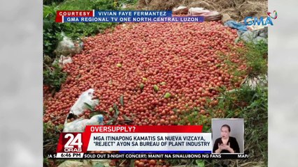 Mga itinapong kamatis sa Nueva Vizcaya, "reject" ayon sa Bureau of Plant Industry | 24 Oras