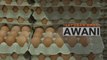 Telur Oh Telur | KPDN terima 117 aduan berhubung gred telur pada 2022