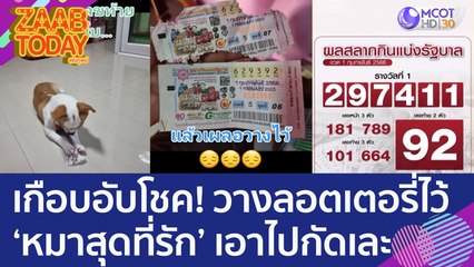 เกือบอับโชค! หนุ่มเผลอวางลอตเตอรี่ไว้ 'หมาสุดที่รัก' เอาไปกัดเละ (2 ก.พ. 66) แซ่บทูเดย์