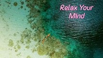 12 Minute Relaxation Music, Attract Pure Clean Positive Energy, Meditation Music, Sleep Music, Relax