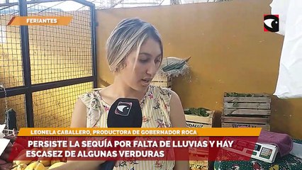 Persiste la sequía por falta de lluvias y hay escasez de algunas verduras