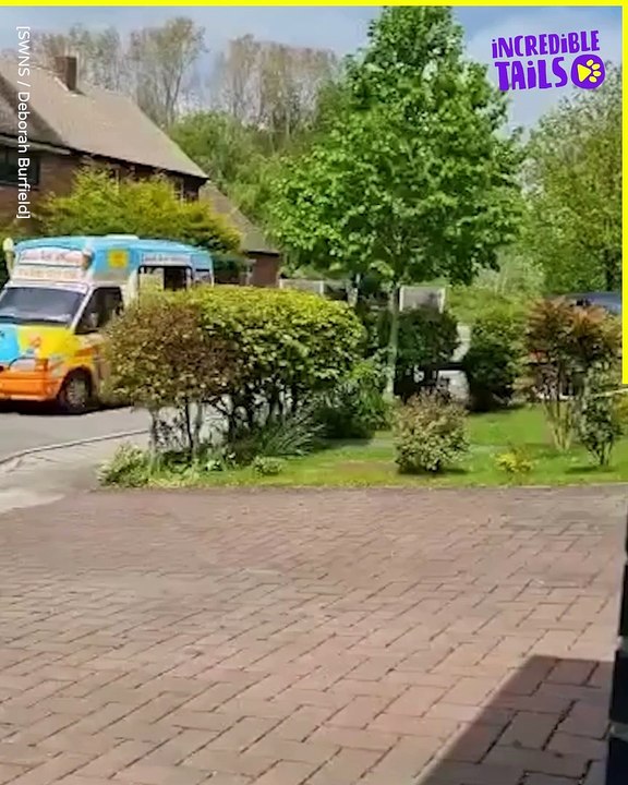 Peacock on the hunt for a cool treat: The funniest ice cream truck chase