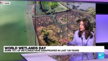 World Wetlands Day: Some 70% of wetlands have disappeared in last 100 years