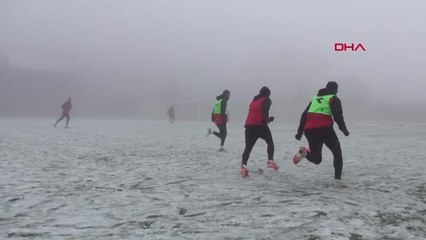 MARDİN'DE KAR VE SİS ETKİLİ OLDU