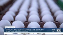CBP: Don't bring raw eggs across the border from Mexico