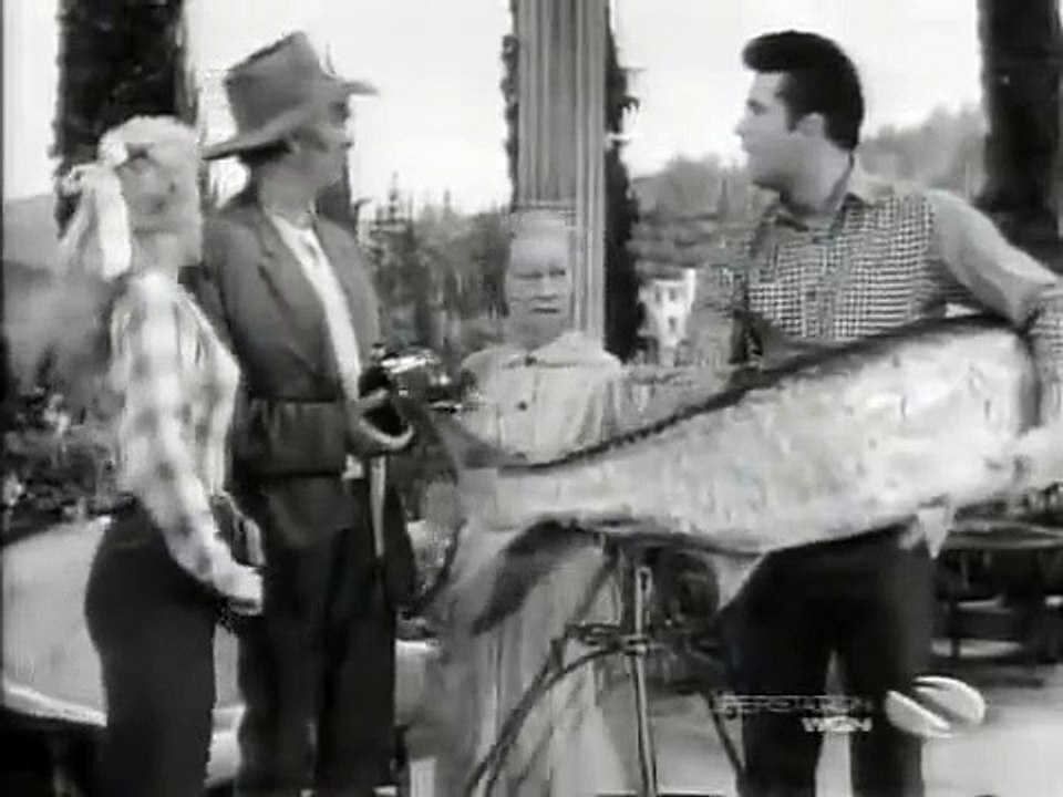 The Beverly Hillbillies - Se2 - Ep22 HD Watch