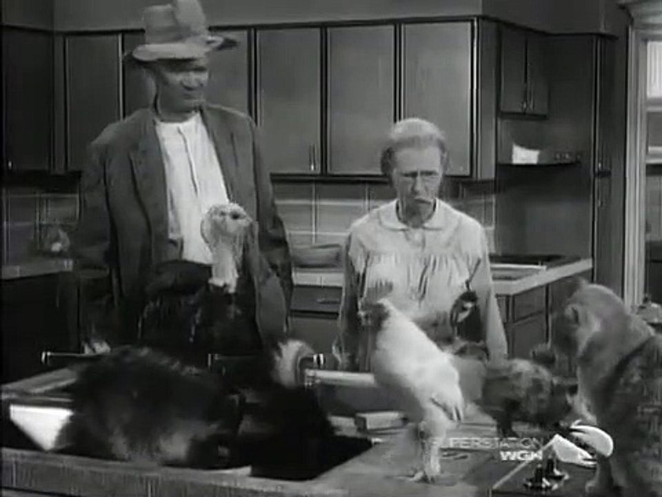 The Beverly Hillbillies - Se2 - Ep23 HD Watch