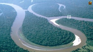 Untold facts ubout Amazon Jungle #amazonforest #amazonriver