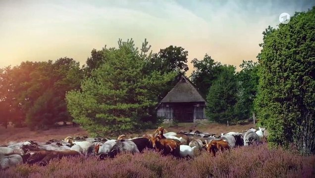 Rote Rosen Folge 3711