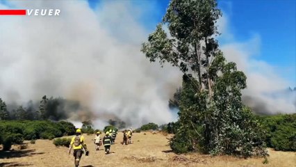 Wildfire Study Confirms Increased Vulnerability With Human Hands the Culprit