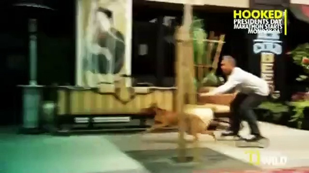Dog Whisperer with Cesar Millan - Se8 - Ep08 HD Watch