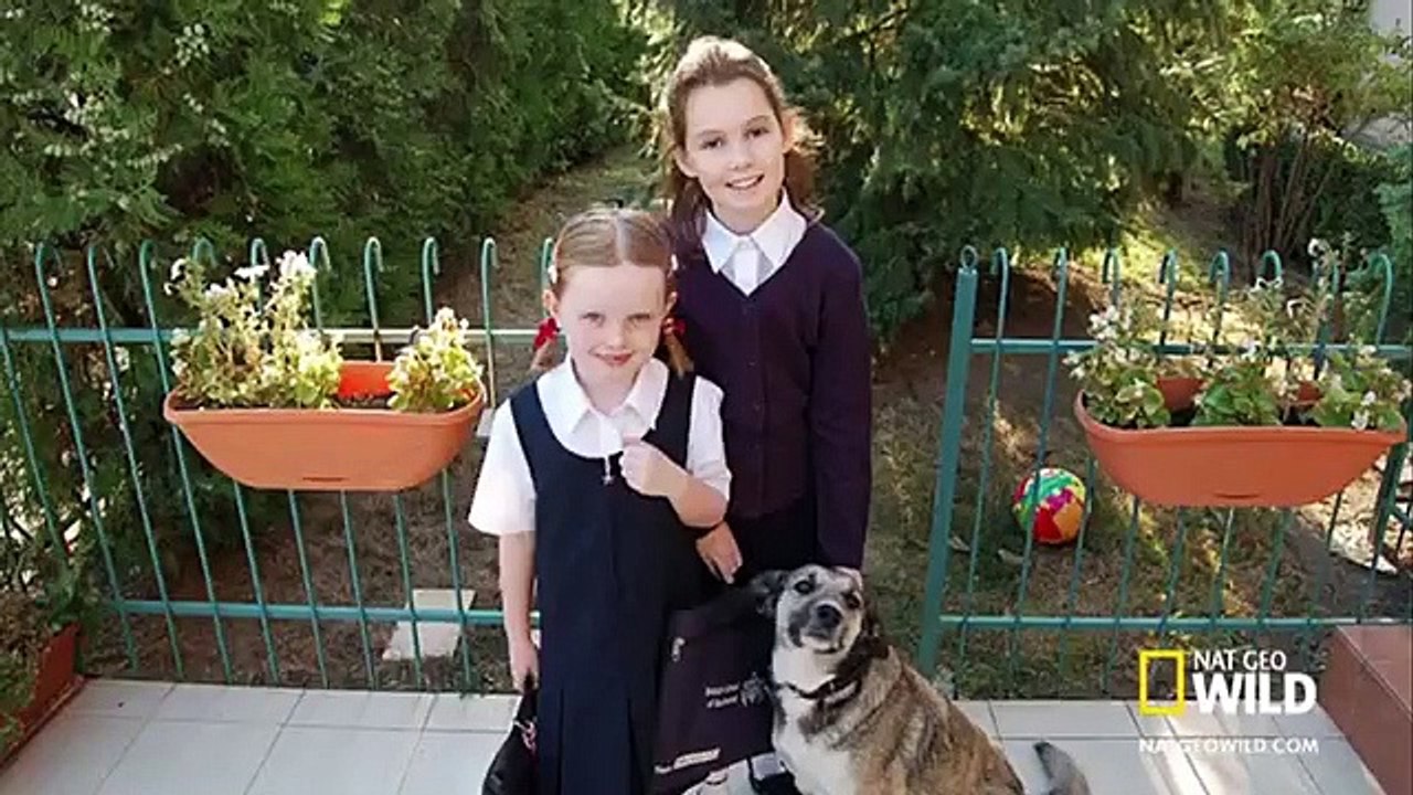 Dog Whisperer with Cesar Millan - Se9 - Ep01 HD Watch