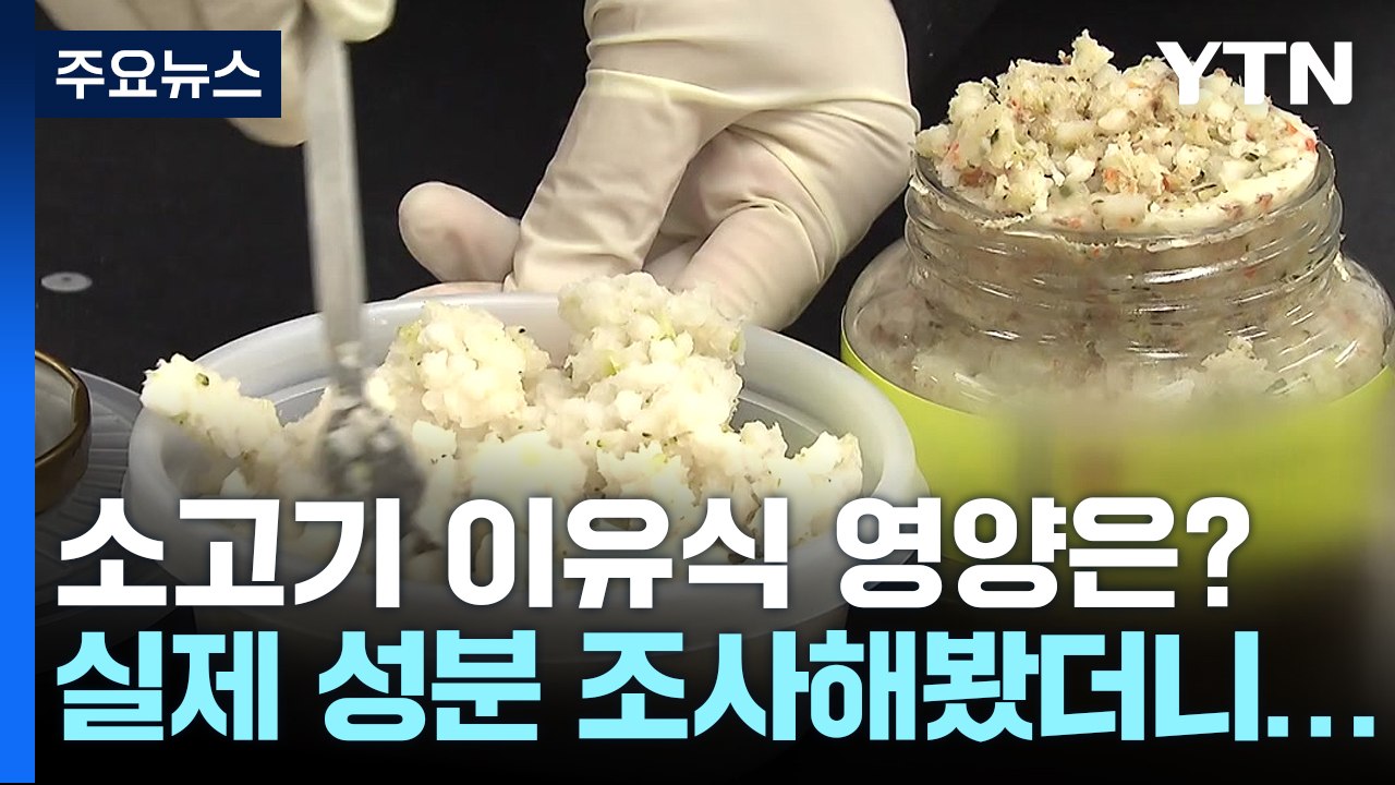 소고기 이유식 조사해보니...'엉터리' 단백질 함량 / YTN