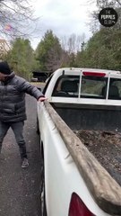 Doggo knows better! - Imgur