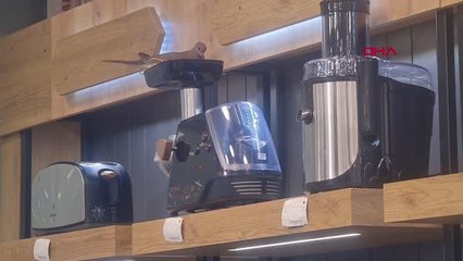 Kıyma makinesine yuva yapan kuşun yavrularının yumurtadan çıkmasını bekliyorlar