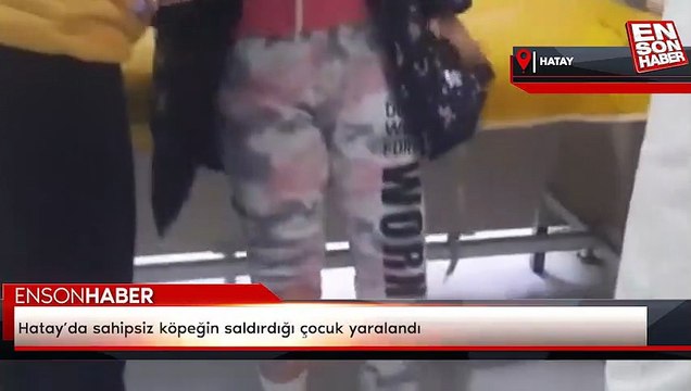 Hatay’da sahipsiz köpeğin saldırdığı çocuk yaralandı