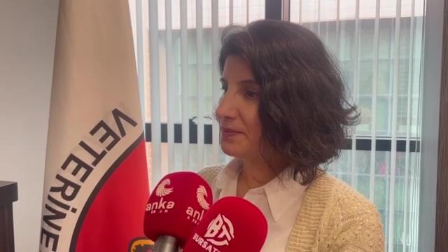 Bursa Veteriner Hekimler Odası Başkanı Baysal: Sahipsiz Hayvanlar Konusunda Belediyeler Yükümlülüklerini Yerine Getirmiyor