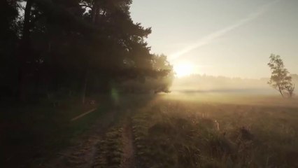 Nature's Serenity: Calm Your Mind, Nurture Your Soul