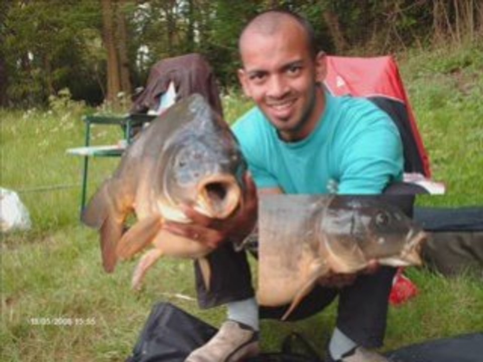 Montage Peche session carpe