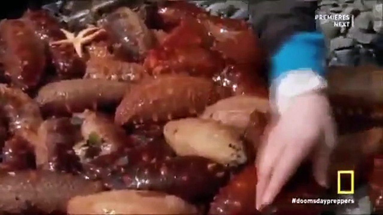 Doomsday Preppers - Se4 - Ep01 HD Watch