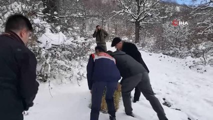 Yaban hayvanları için doğaya yem bırakıldı