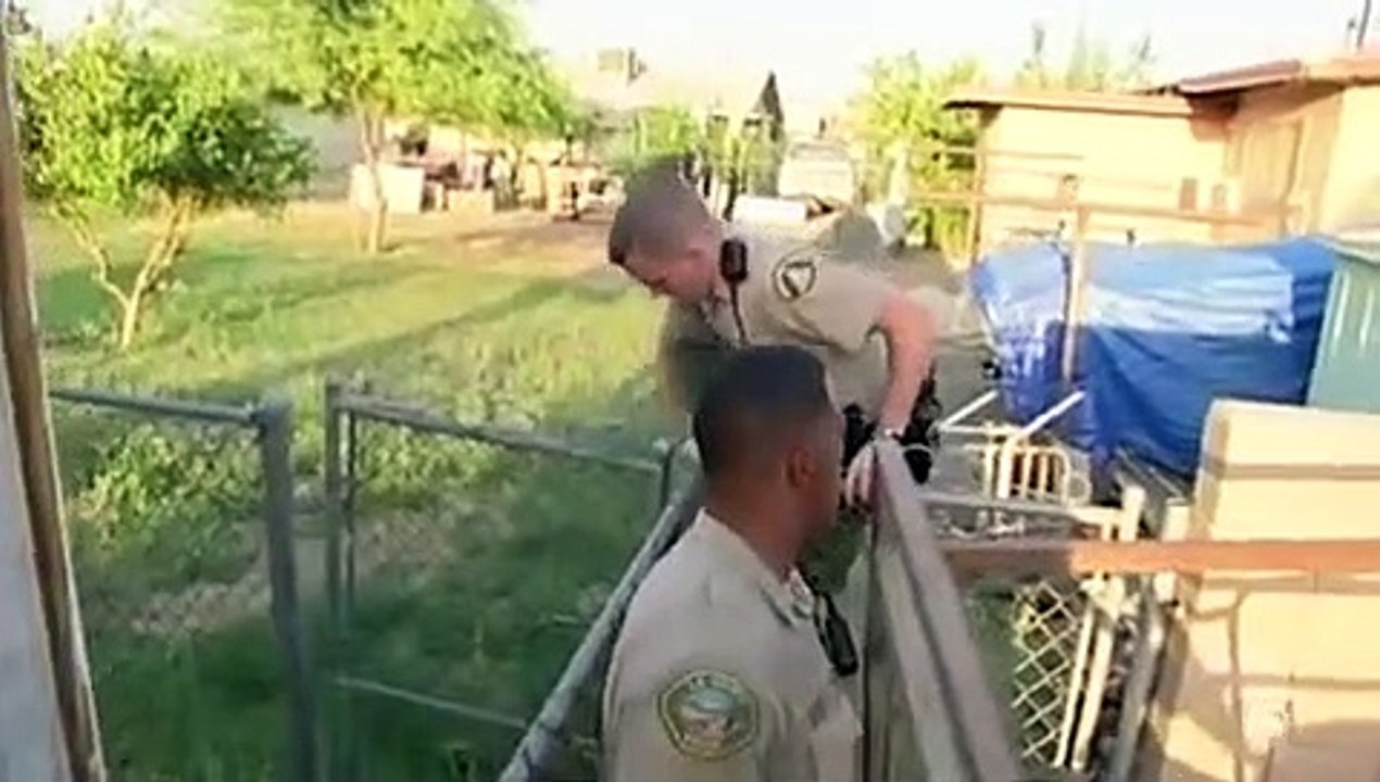 Cops - Se20 - Ep07 HD Watch