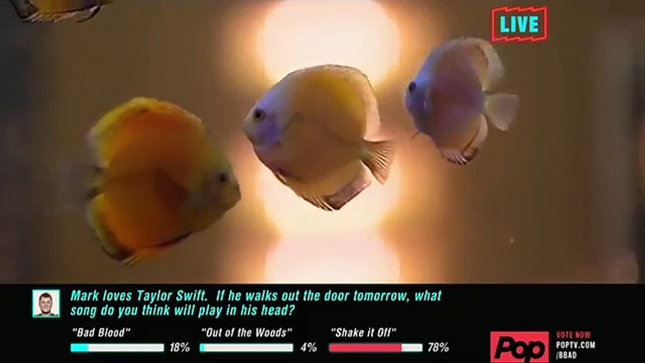 Big Brother - After Dark - Se19 - Ep53 - Day 61 HD Watch - Part 02