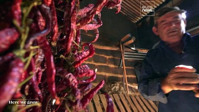 Эстремадура: регион гастрономических сокровищ