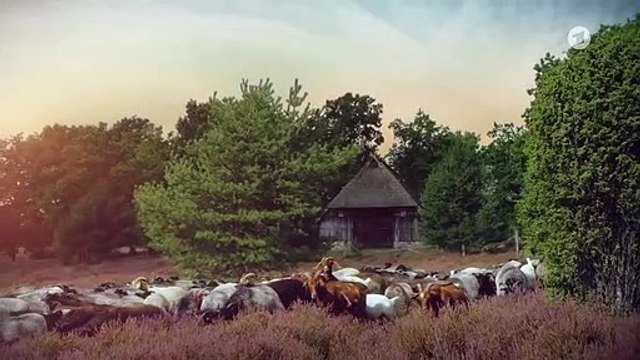 Rote Rosen Folge 3711