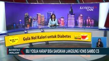 Ingin Lihat Keadilan, Ibu Yosua Berharap Saksikan Langsung Sidang Vonis Sambo di PN Jaksel