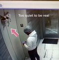 Il découvre un chien accroché à un ascenseur... oups