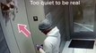 Il découvre un chien accroché à un ascenseur... oups