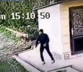 Un homme se défend parfaitement face à l'attaque d'un chien